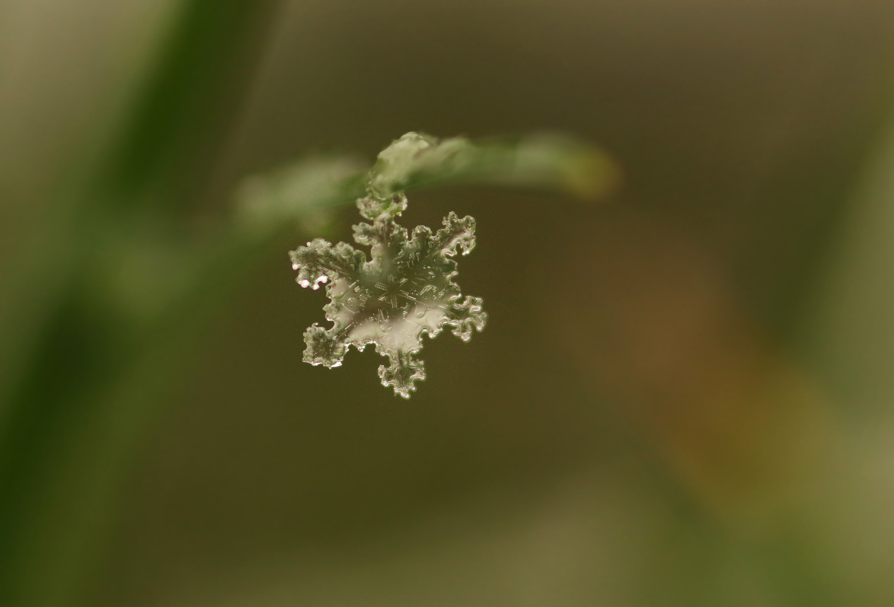 Schneekristall