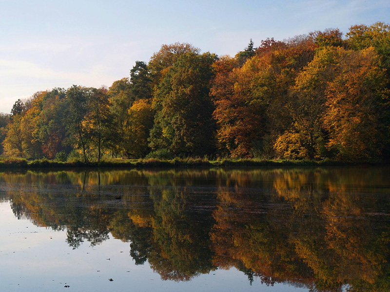 ~ Herbstimpressionen II ~