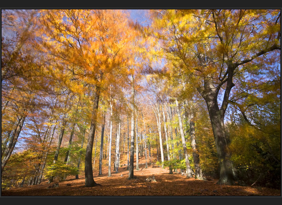 Herbstgemälde