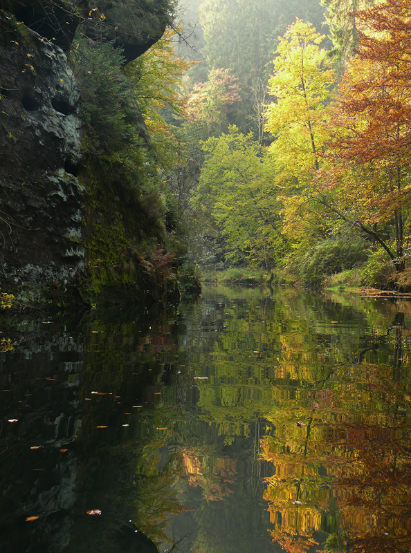 Wilde Klamm 2