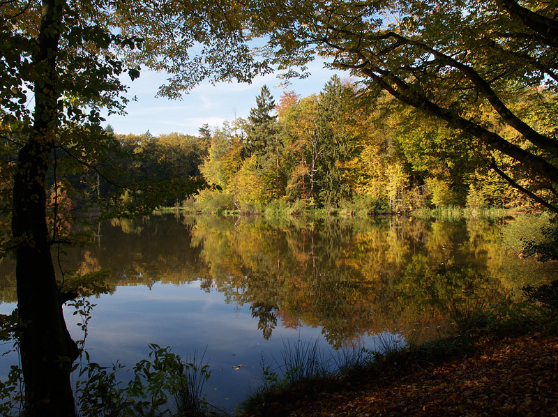 ~ Herbstimpressionen III ~