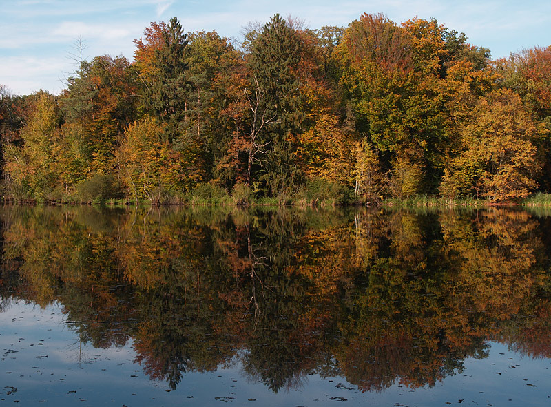 ~ Herbstimpressionen IV ~