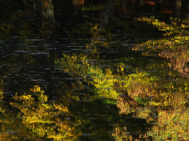 ~ Herbstimpressionen V ~