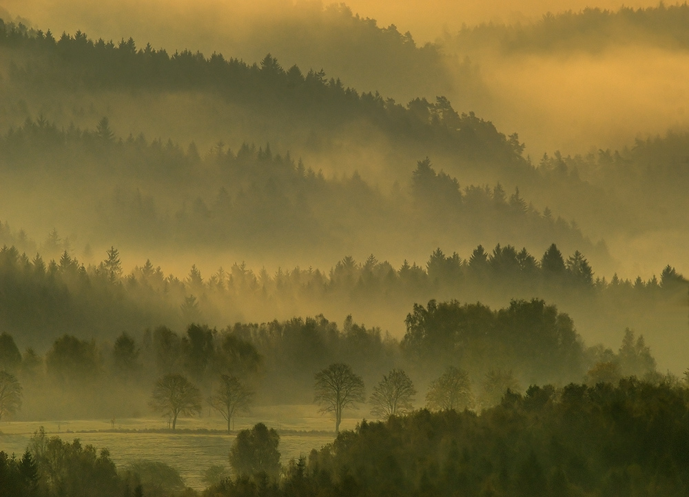 Böhmischer Nebelmorgen