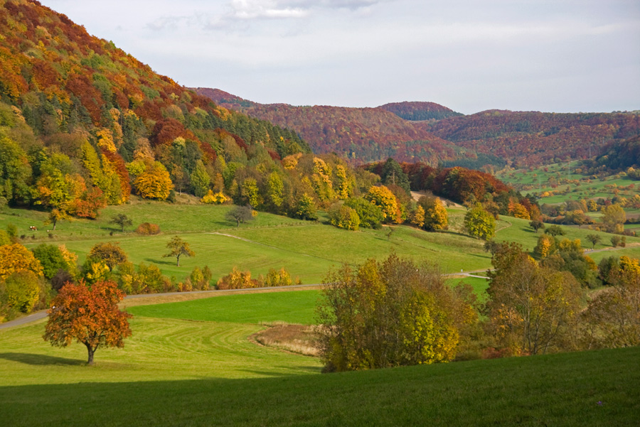 Herbstfarben