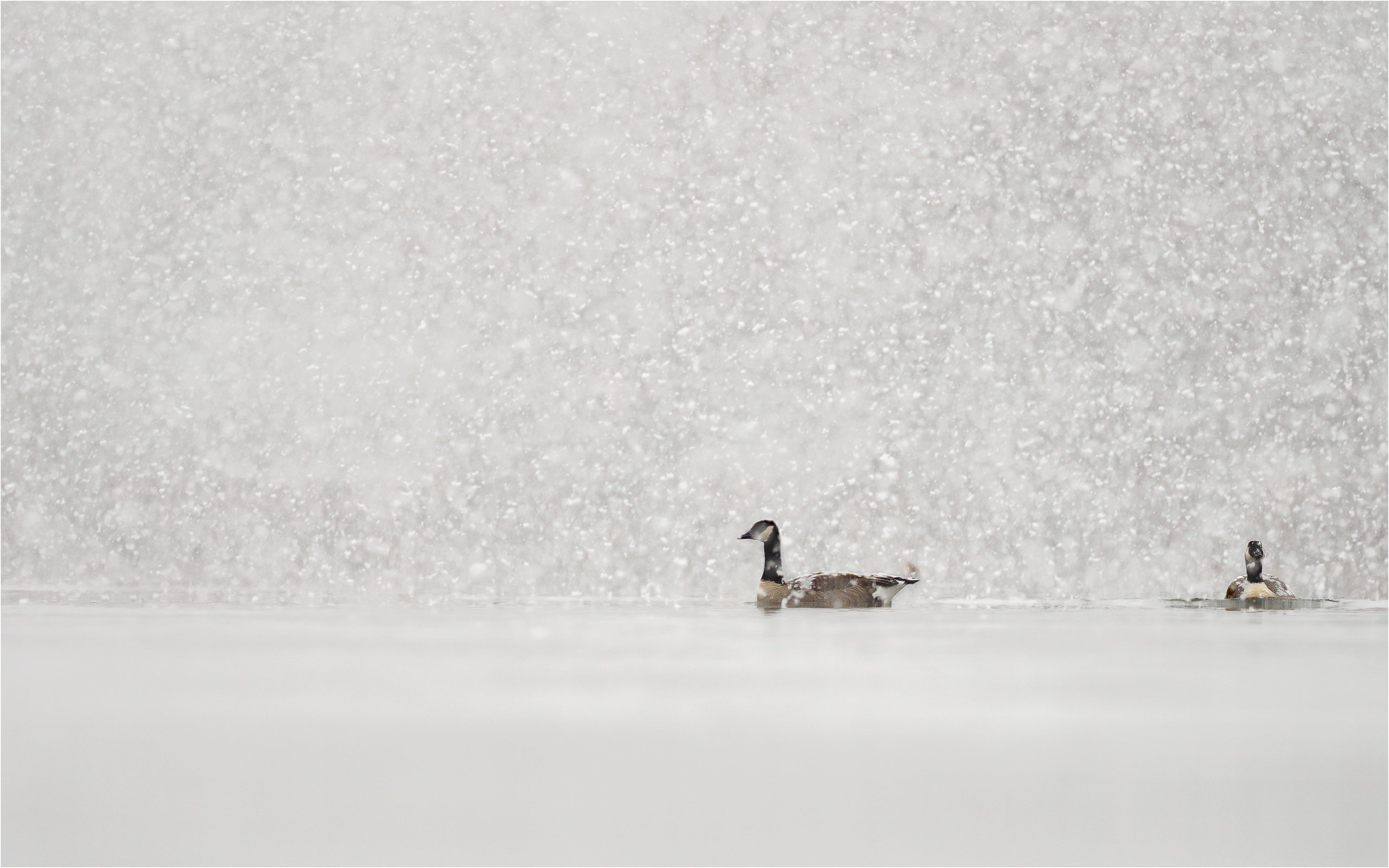 Whiteout an der Ruhr