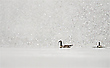 Whiteout an der Ruhr