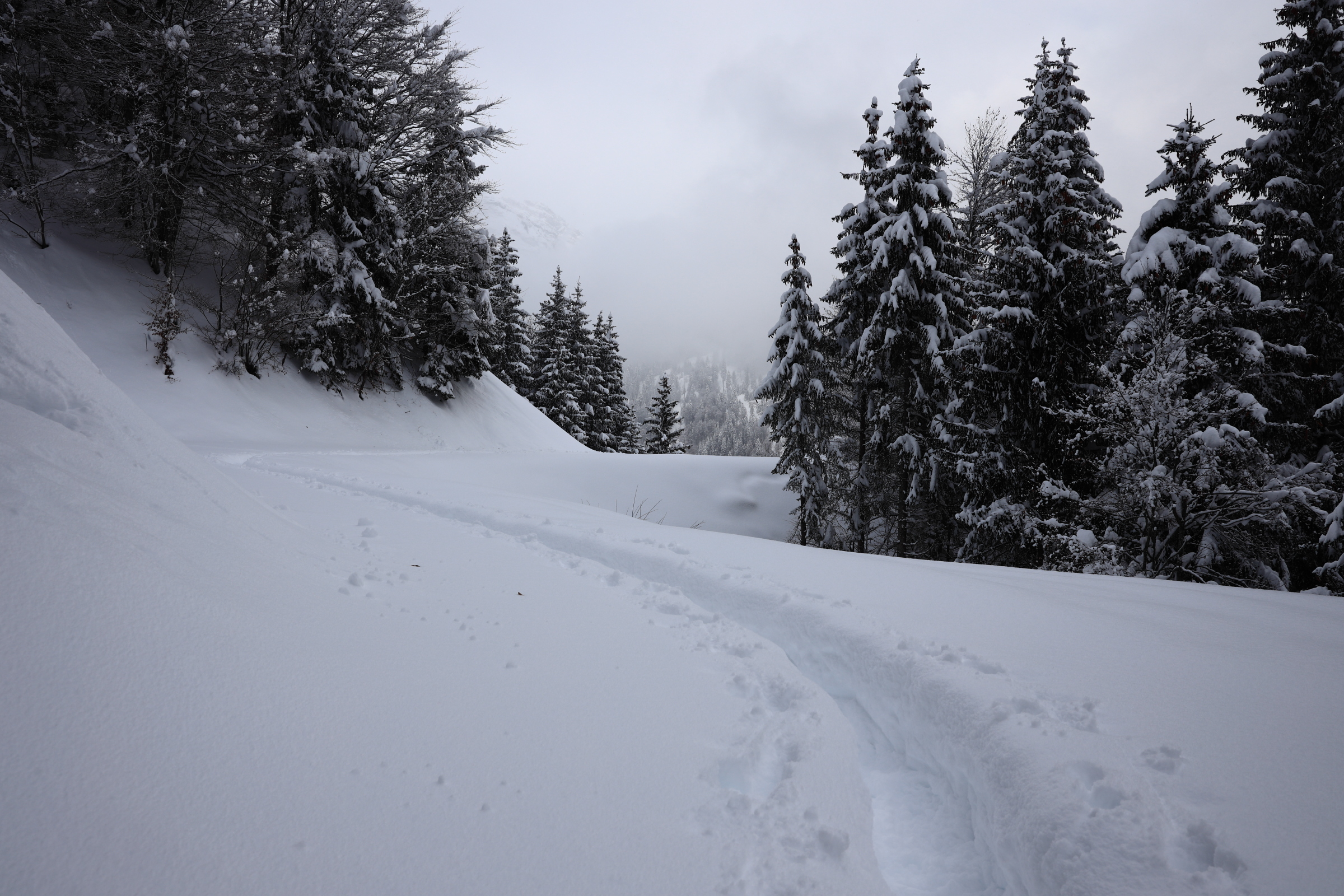 Tiefer Winter
