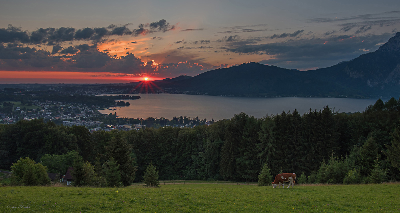 Etwas Wärme und Sonne in diesen getrübten Tagen.