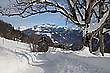 Schön viel Schnee