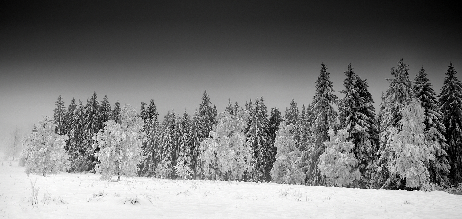 Schwarzwald