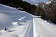 Wintertraum
