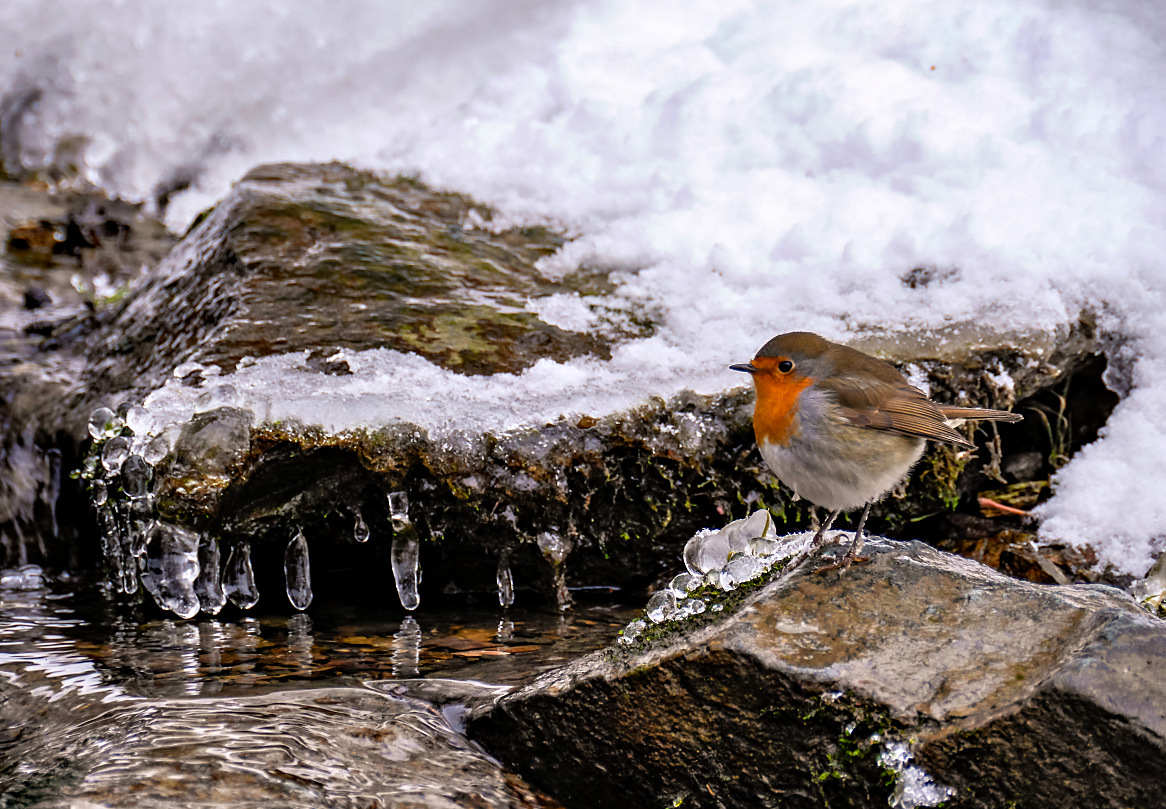 Besuch am Wasserfall