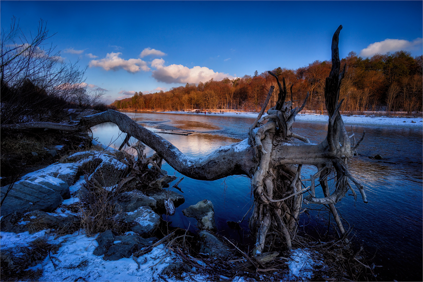 Strandgut an der Isar