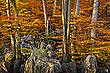 Das verspätete Herbstbild....