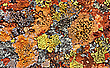 Die Farben der Natur