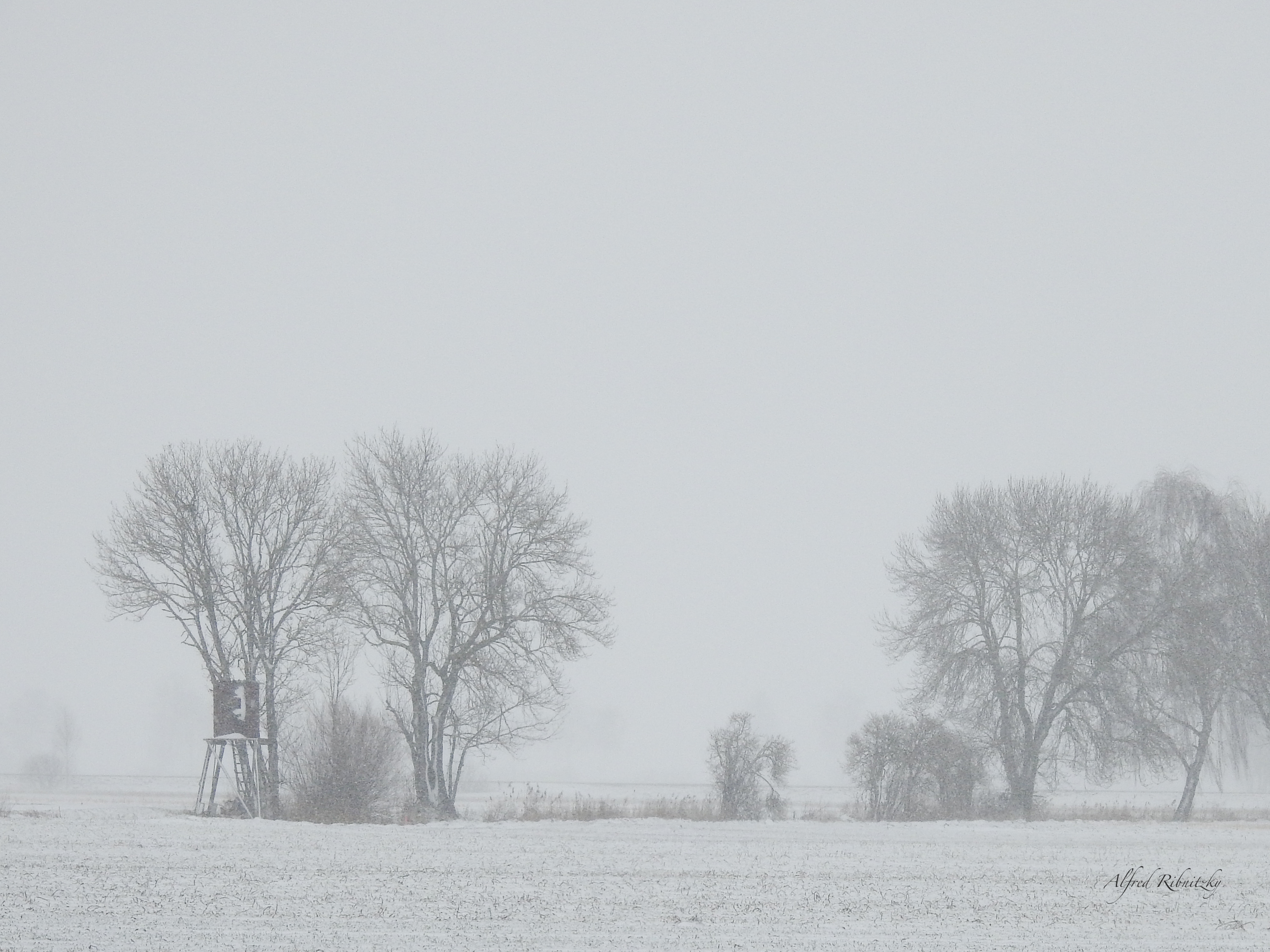 Im Schneegestöber