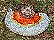 Regentropfen