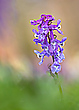 Farbe gegen Grau