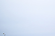 Viel Himmel, wenig Vogel
