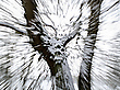 Winterliche Explosion