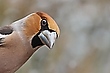 Ich habe dich im Blick