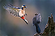 -- catch me if you can --