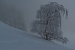 Kalter Wintertag