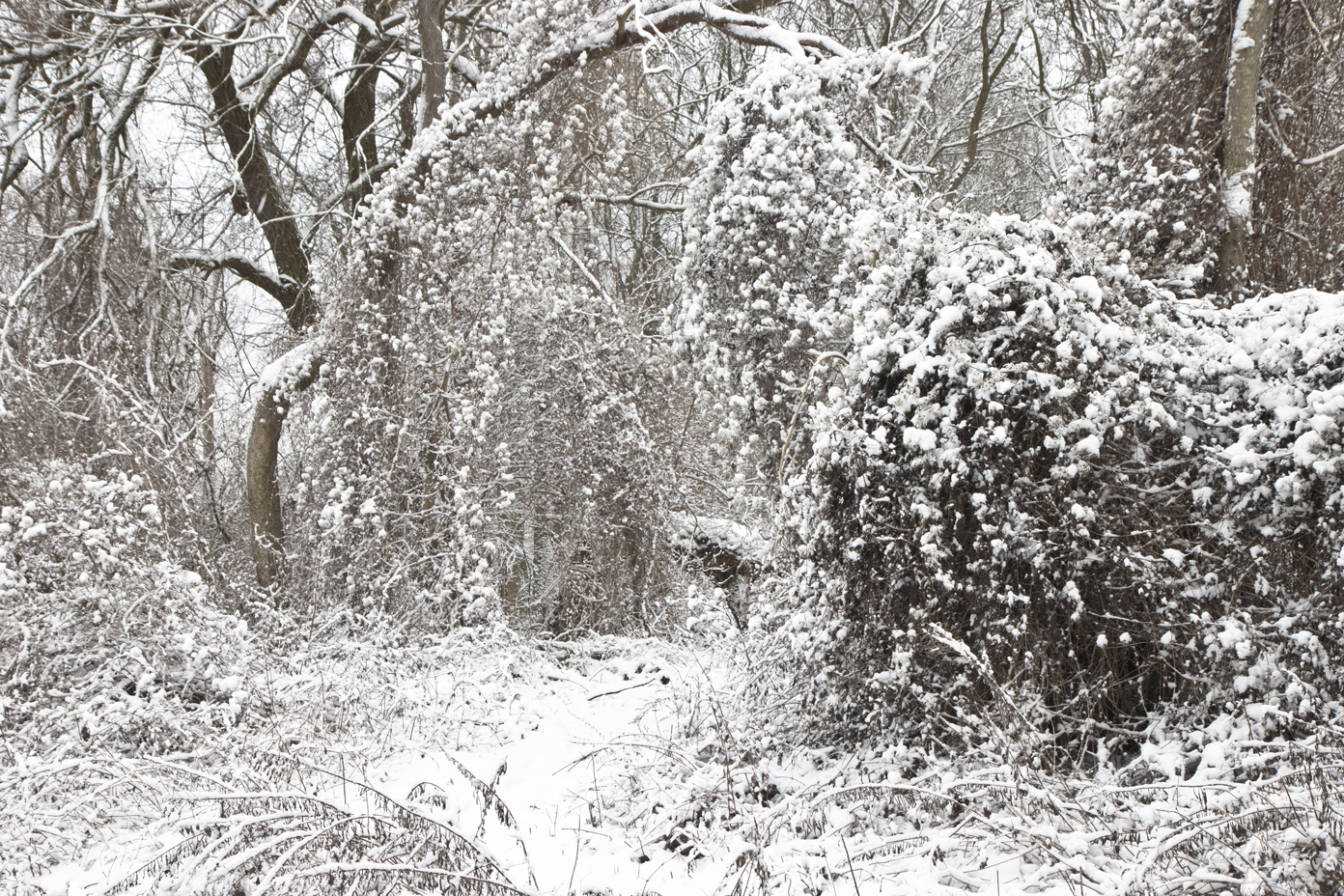 Wintermärchen