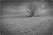 ein etwas mystisches Bild