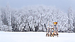 Frost