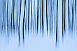 Schneewischer