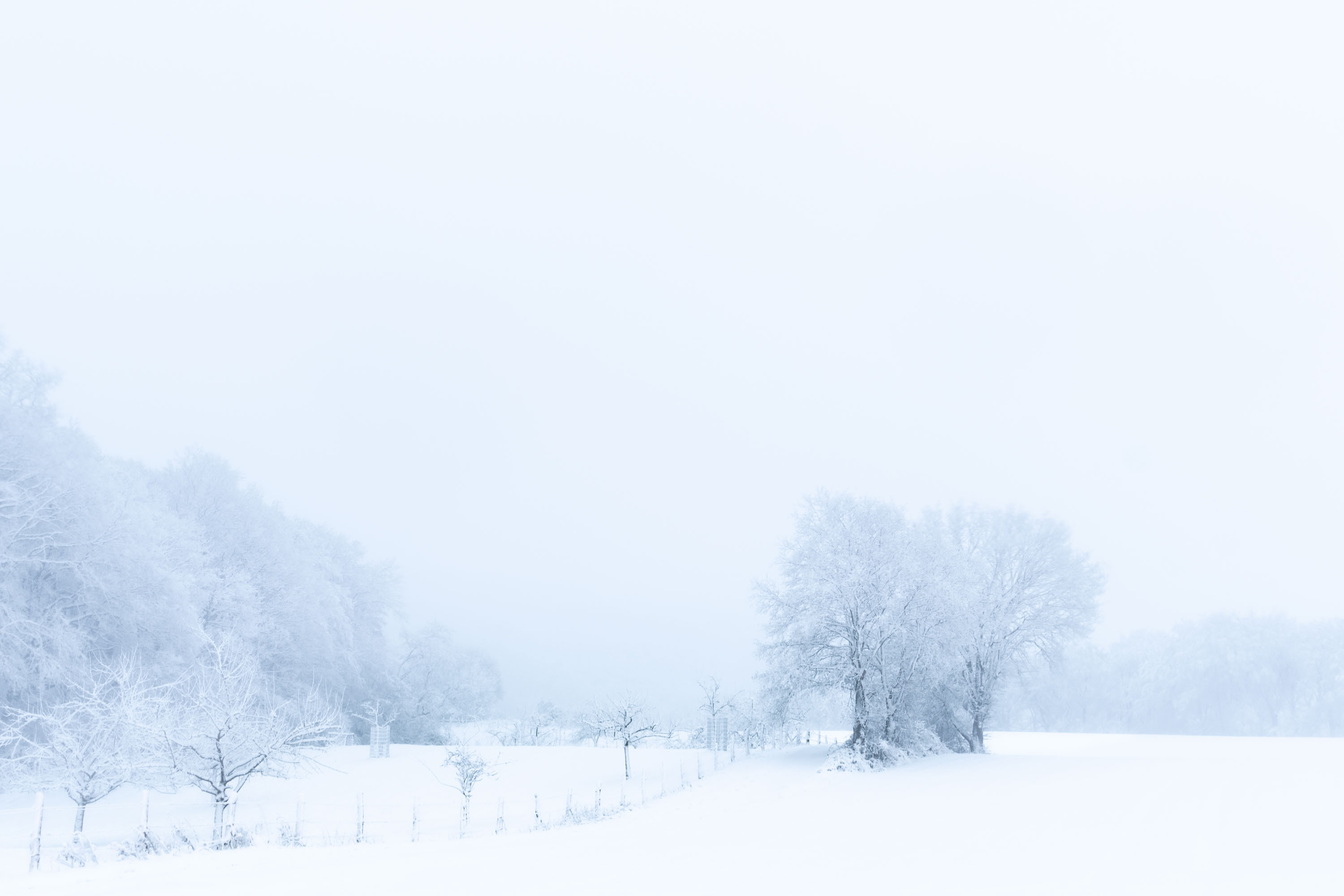 schneelandschaft Eseen Fischlaken