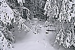 Spuren im Schnee