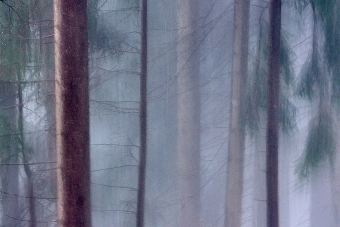 Dichter Schneefall, Nebel ...