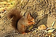 Erstmal schnuppern.......
