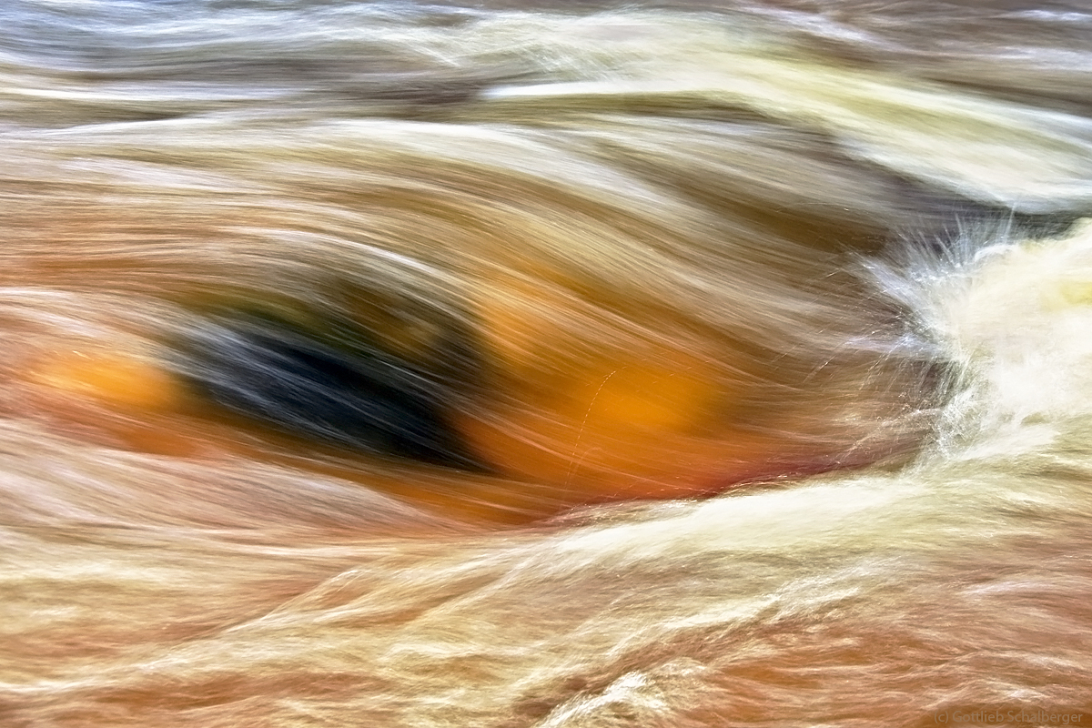 Honigwasser