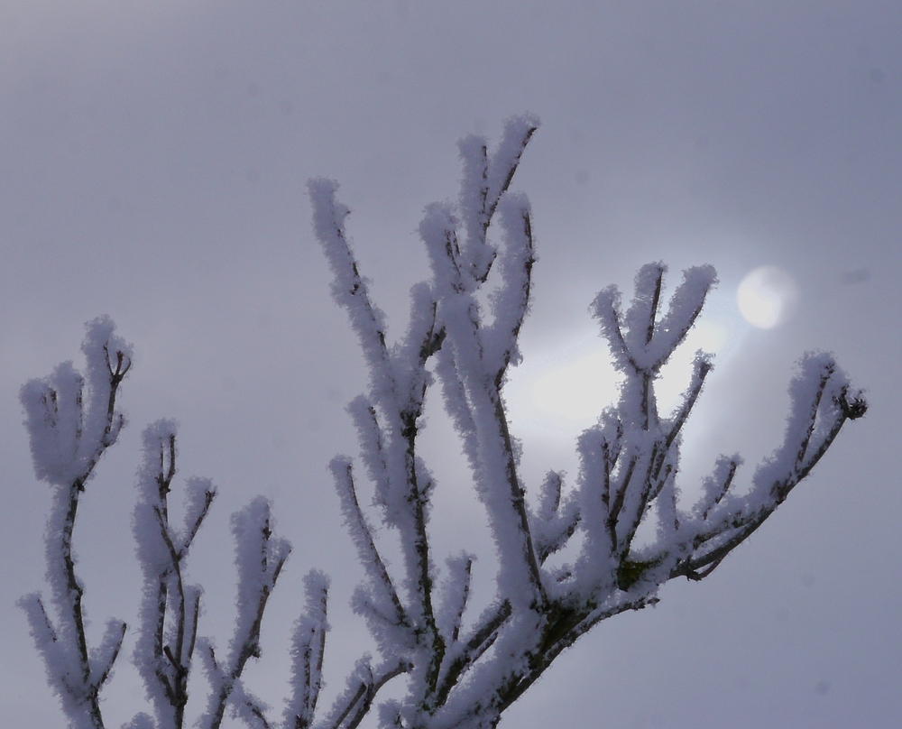 Reif, Schnee und Sonne