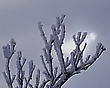 Reif, Schnee und Sonne