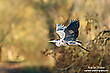 Abflug