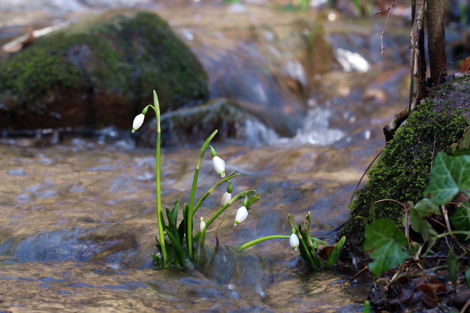 Im Wasser und am Wasser