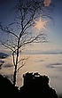 Felsen im Nebel
