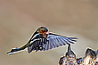 Landeanflug