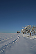 Perfekter Wintertag