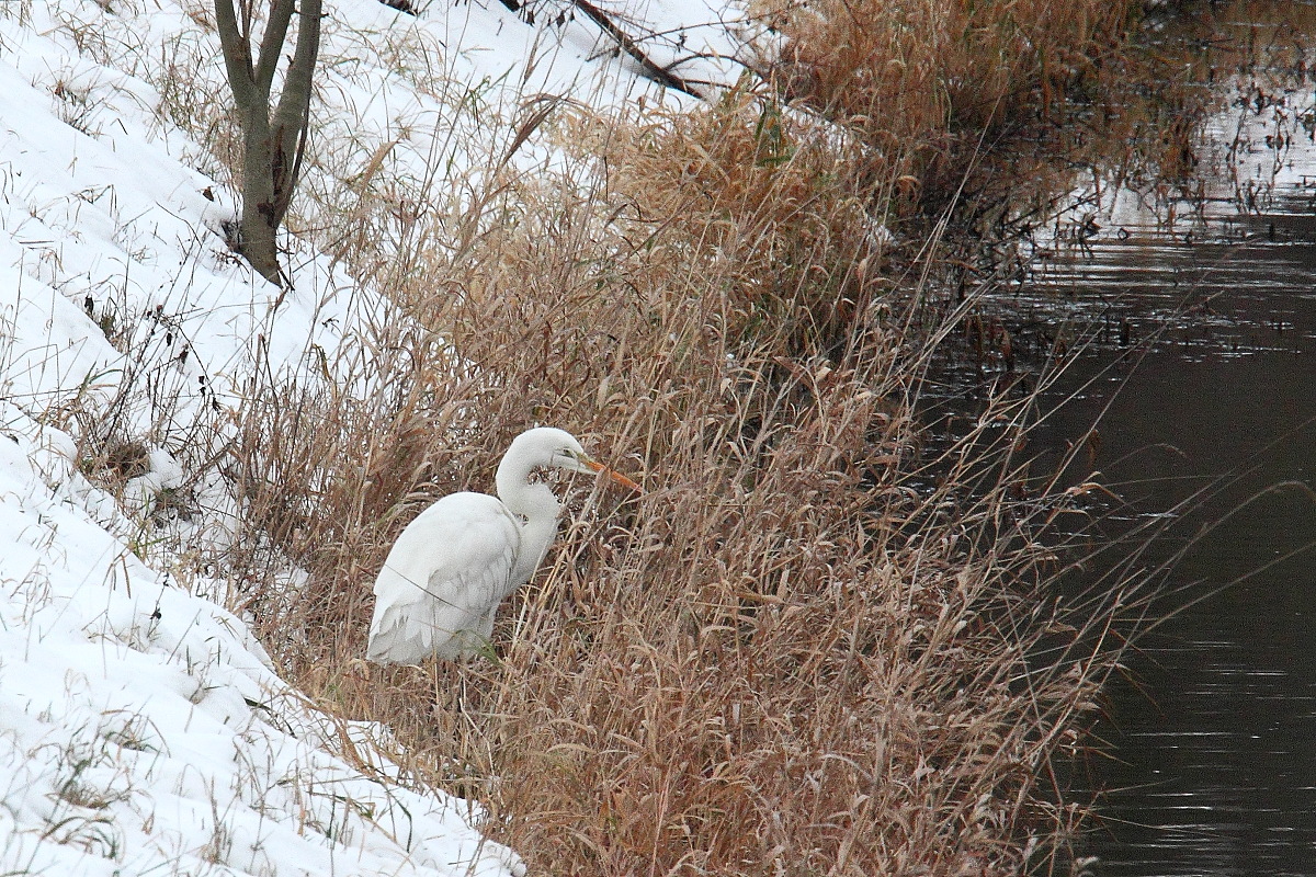 Wintermüde?