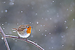 Winterstimmung