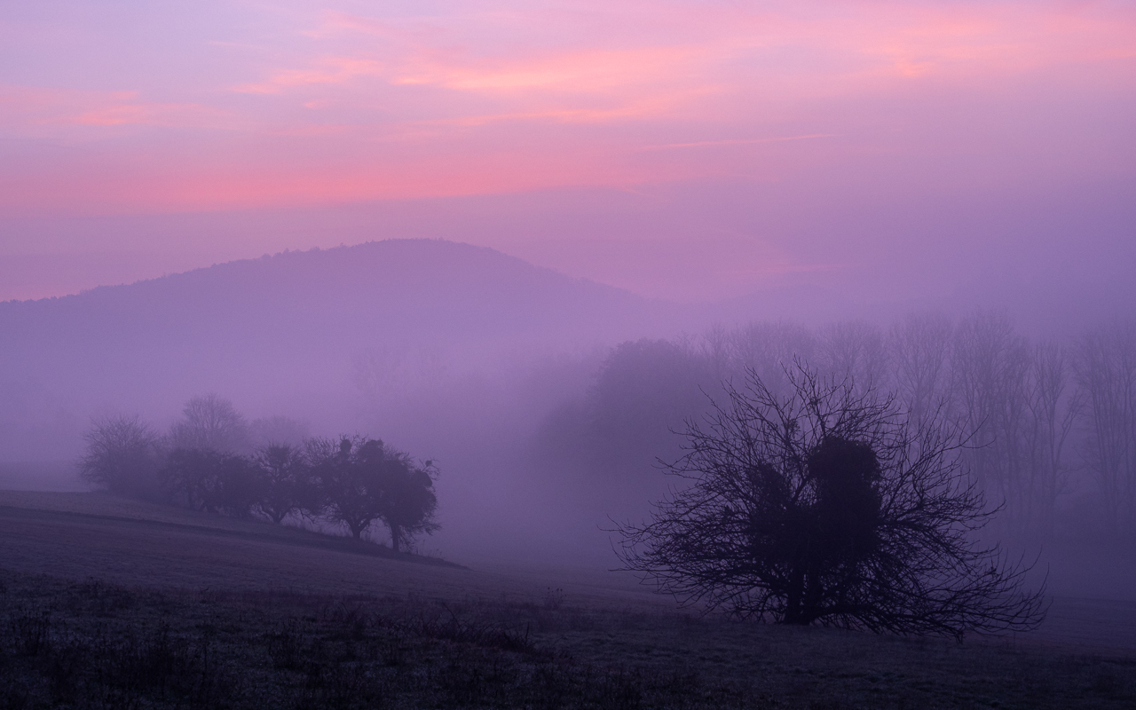 Morgenstimmung