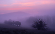 Morgenstimmung