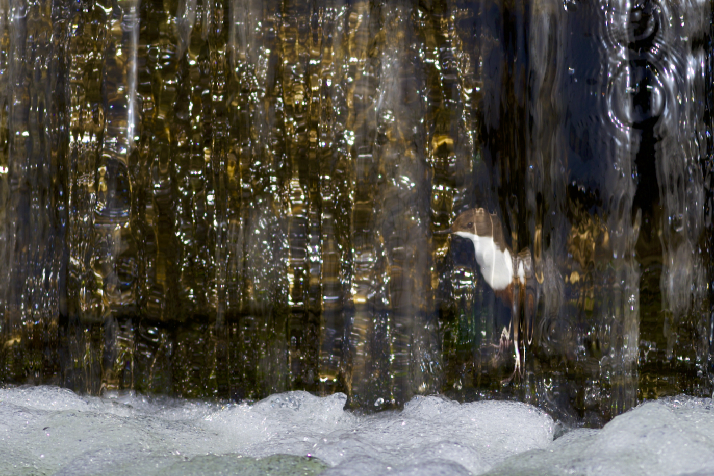 "Hinter dem Wasserfall"