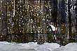 "Hinter dem Wasserfall"